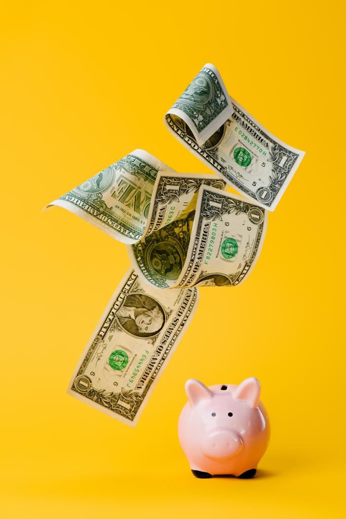 貯金箱ピンクや黄色の分離落下のドル紙幣のクローズ アップ表示 ロイヤリティフリー写真 画像素材