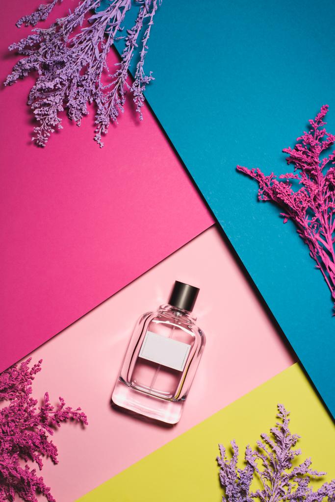 カラフルな表面に紫の枝と香水のボトルのトップ ビュー ロイヤリティフリー写真 画像素材