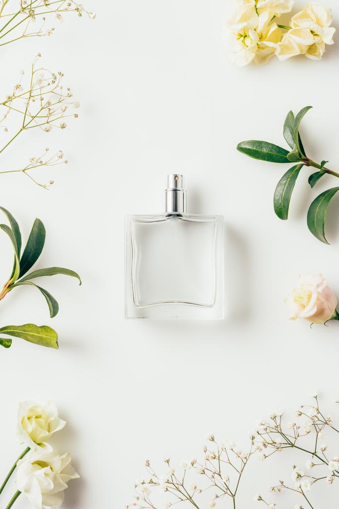 花と白緑の枝に囲まれた香水のボトルのトップ ビュー ロイヤリティフリー写真 画像素材