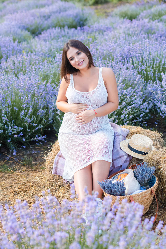 干し草ベール バイオレット ラベンダー畑の上に座っていると腹に触れて妊娠中の女性の笑顔 ロイヤリティフリー写真 画像素材