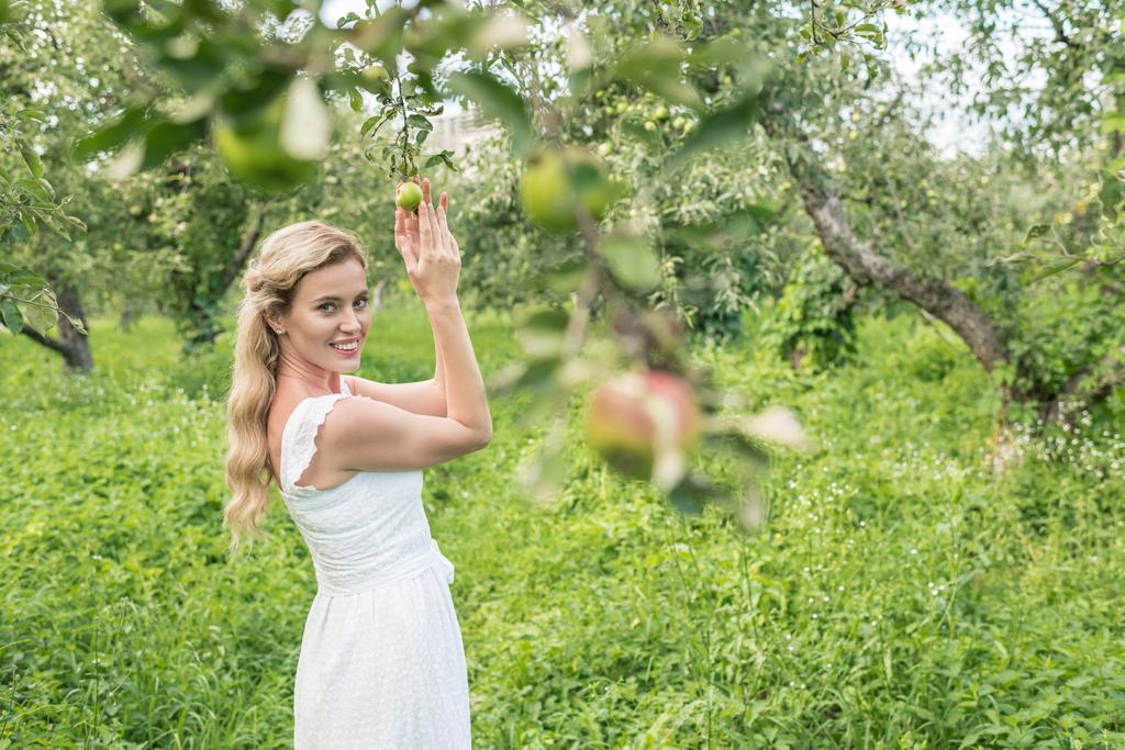 りんごの木と緑豊かな庭園で優雅な女性 ロイヤリティフリー写真 画像素材
