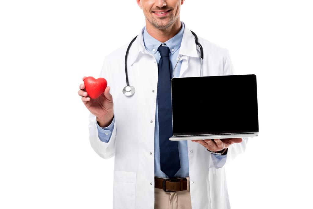 egészségügyi szív modell