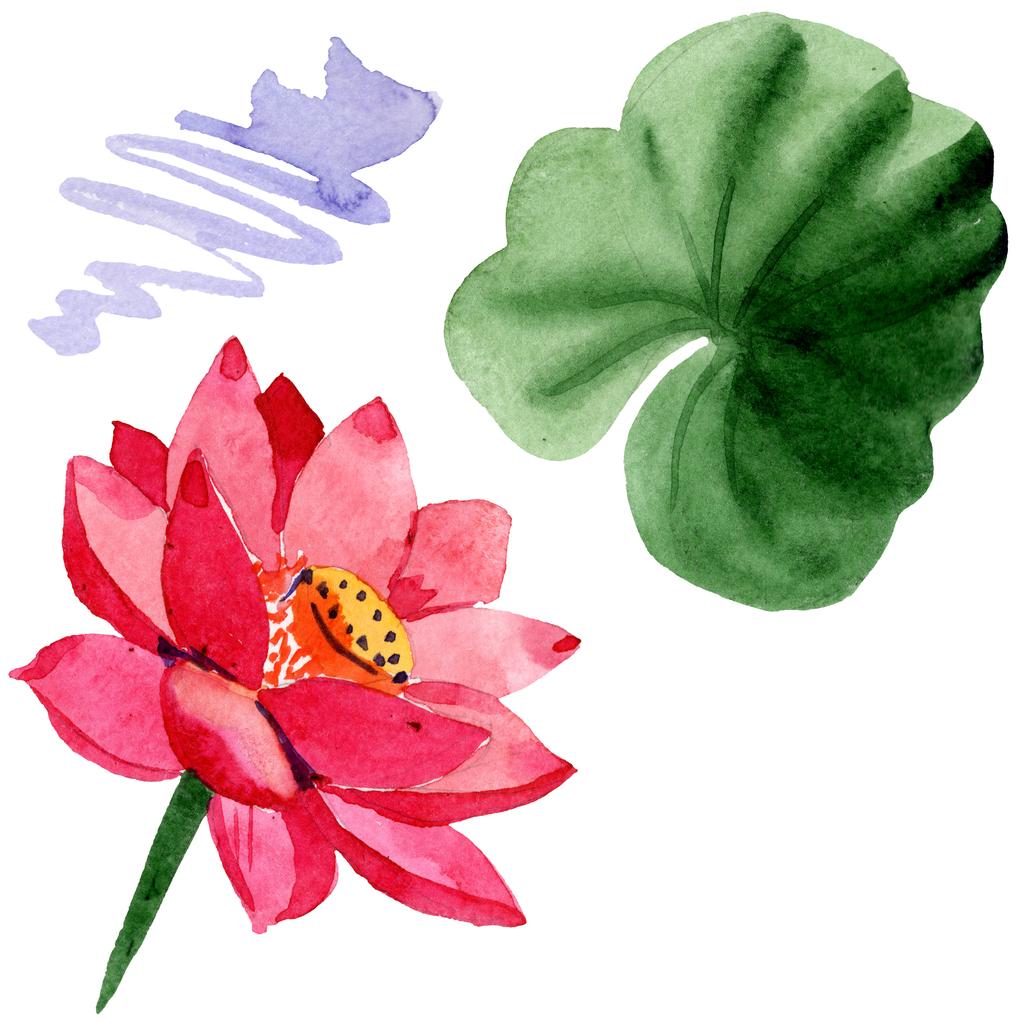 Red Lotus Flower With Green Leaf Isolated On White Floral Botanical Flower Watercolor Background Illustration Free Stock Photo And Image