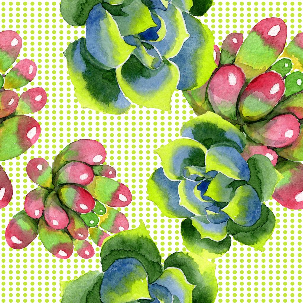 驚くほどの多肉植物 水彩画背景イラスト シームレスな背景パターン 壁紙印刷手触りの生地 ロイヤリティフリー写真 画像素材