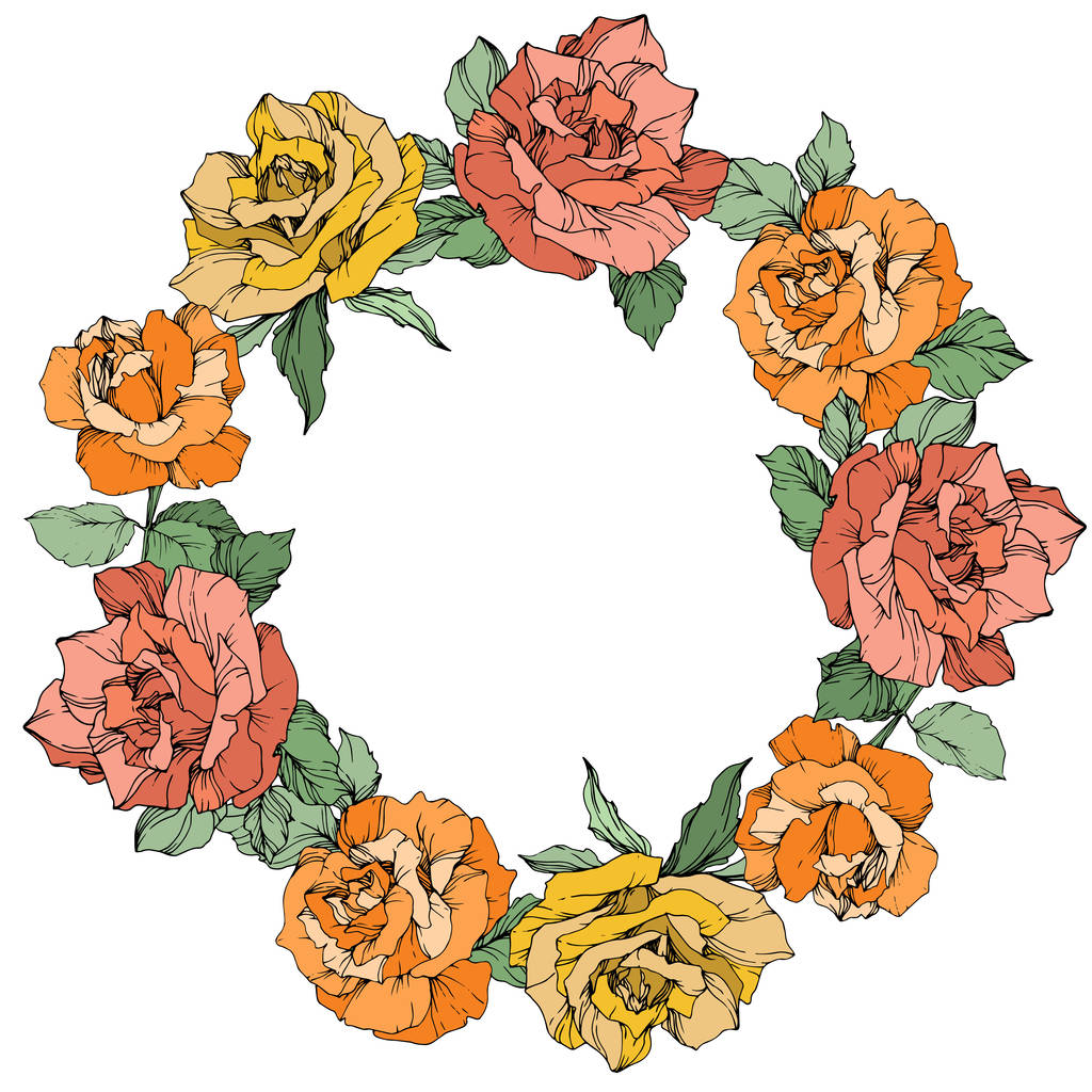 Vector rose flowers floral wreath on white background. Yellow, orange and coral roses engraved ink art.
