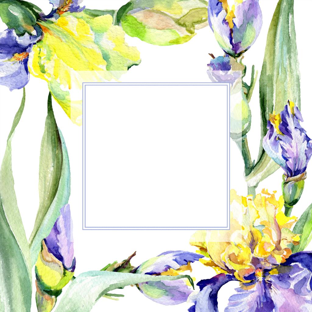紫と黄色のアイリスのあるフレーム 花入り水彩背景イラスト 水彩描画ファッション アクワレル ロイヤリティフリー写真 画像素材