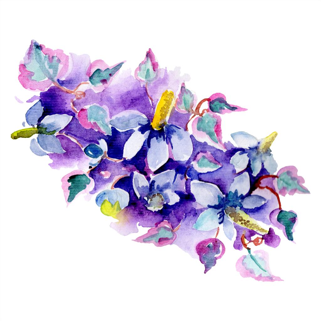 紫の花の花束 水彩画背景イラスト セット 水彩描画のファッション Aquarelle 分離します 孤立した花束の図要素 ロイヤリティフリー写真 画像素材