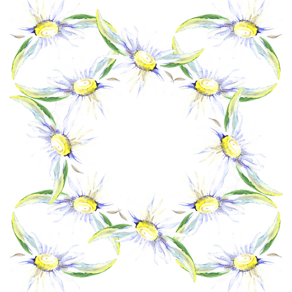 デイジーの花のフレーム 水彩画背景イラスト セット 分離された水彩描画ファッション アクワレル ロイヤリティフリー写真 画像素材