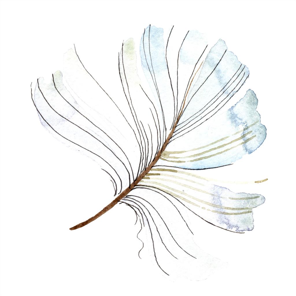 分離の翼から白い鳥の羽だった 背景 テクスチャの Aquarelle 羽 水彩画背景イラスト セット 分離された水彩描画ファッション アクワレル ロイヤリティフリー写真 画像素材