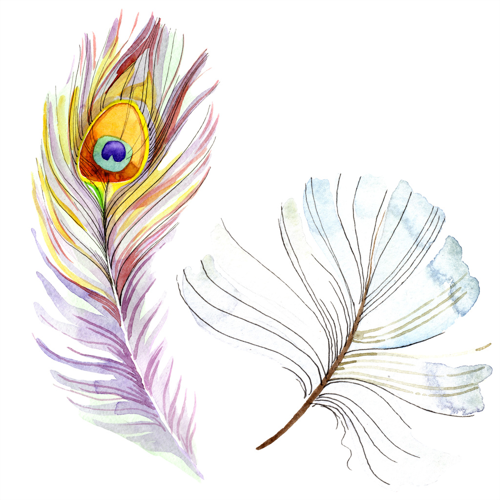 分離された翼からカラフルな鳥の羽 背景 テクスチャの Aquarelle 羽 水彩画背景イラスト セット 分離された水彩描画ファッション アクワレル ロイヤリティフリー写真 画像素材