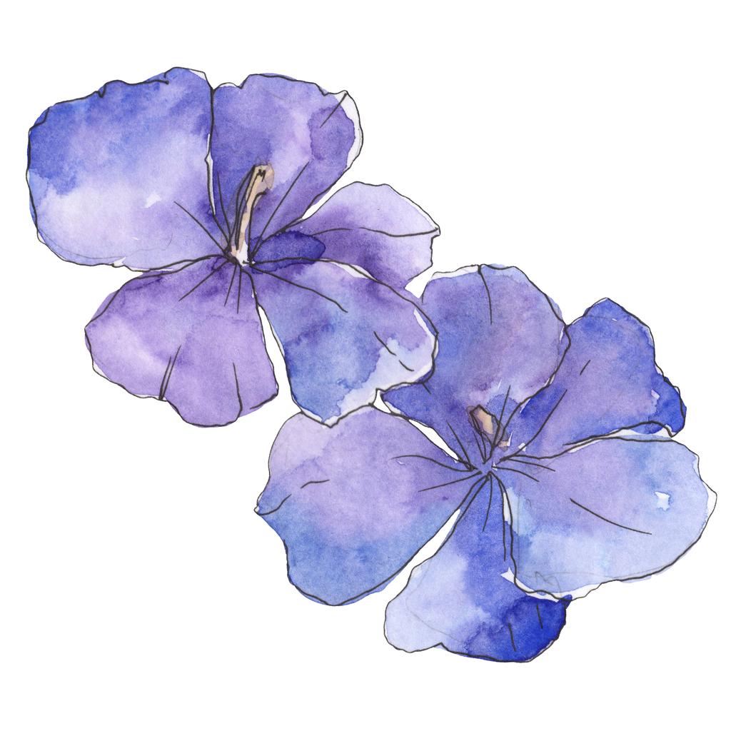 ブルー紫亜麻 花植物の花 野生春葉のワイルドフラワーが分離されました 水彩画背景イラスト セット 水彩描画ファッション Aquarelle 孤立した亜麻の図要素 ロイヤリティフリー写真 画像素材