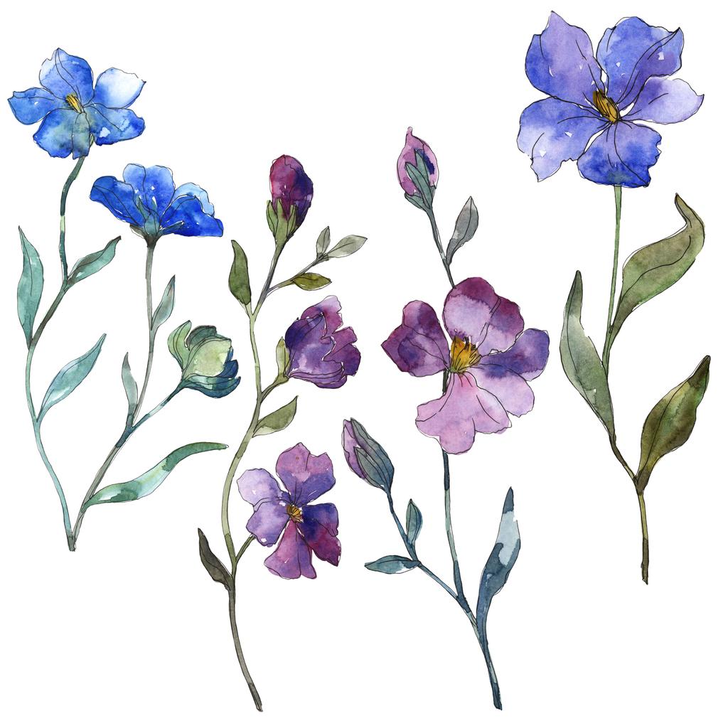 青い紫色亜麻花植物の花 野生春葉のワイルドフラワーが分離されました 水彩画背景イラスト セット 水彩描画ファッション Aquarelle 孤立した亜麻の図要素 ロイヤリティフリー写真 画像素材