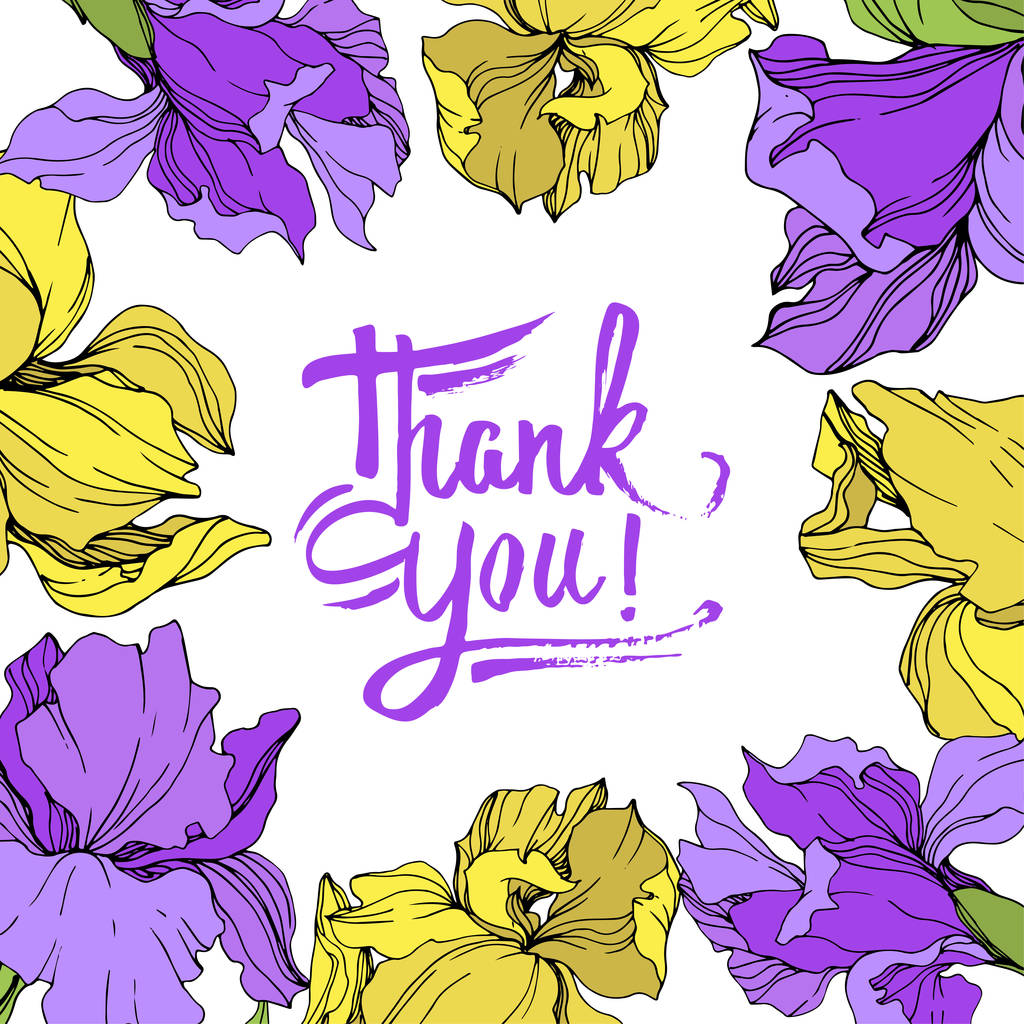 黄色と紫の孤立した菖蒲の図をベクターします ありがとうレタリングでフレーム枠飾り ロイヤリティフリーのベクターグラフィック画像