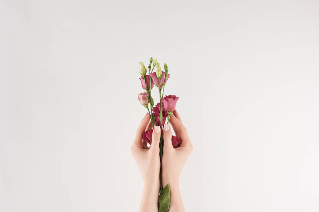 白地に紫の花を持つ女性の手の部分ビュー ロイヤリティフリー写真 画像素材