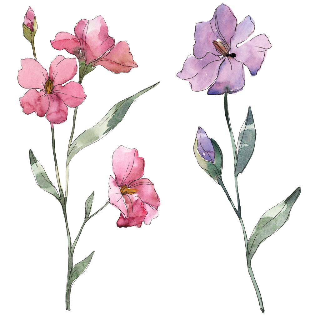 ピンクと紫亜麻花植物の花 野生春葉のワイルドフラワーが分離されました 水彩画背景イラスト セット 水彩描画ファッション Aquarelle 孤立した亜麻の図要素 ロイヤリティフリー写真 画像素材
