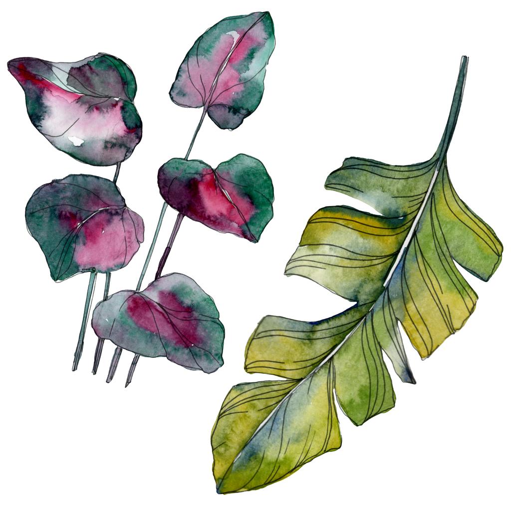 緑葉植物植物園花葉 エキゾチックな熱帯のハワイアンの夏 水彩画背景イラスト セット 水彩描画ファッション Aquarelle 孤立した葉の図要素 ロイヤリティフリー写真 画像素材