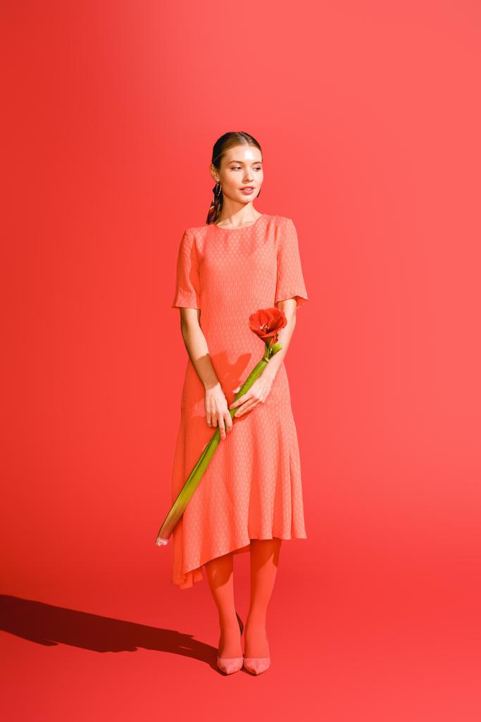 Attraktive Elegante Madchen Im Kleid Mit Roten Amaryllis Blume Auf Lebenden Korallen Pantonefarbe Des Jahres 2019 Lizenzfreies Foto Und Stockbild