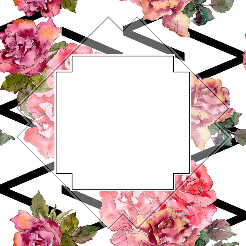 ピンクのバラ花植物花 野生春葉のワイルドフラワーが分離されました 水彩画背景イラスト セット 水彩描画のファッション Aquarelle 分離します フレーム枠飾りスクエア ロイヤリティフリー写真 画像素材