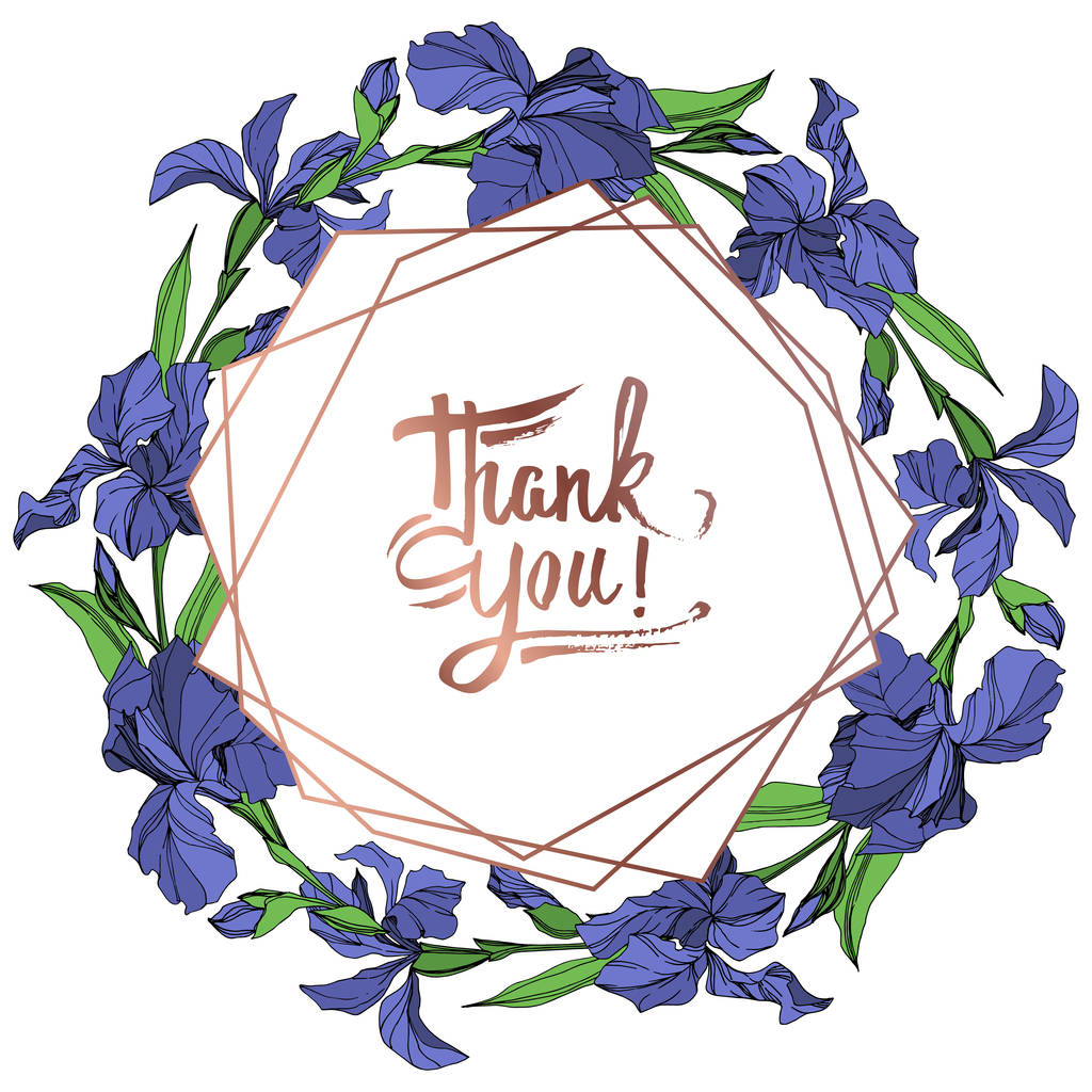 ベクトル ブルー アイリス花植物の花白い背景の上の 野生春葉のワイルドフラワーが分離されました 青と緑の刻まれたインク アート フレーム枠飾りスクエア ロイヤリティフリーのベクターグラフィック画像