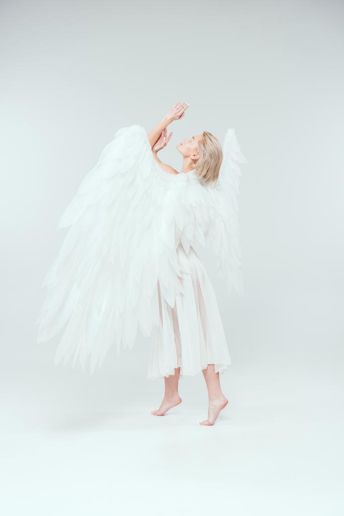 手でジェスチャーと白い背景でポーズの天使の羽の柔らかい美女 ロイヤリティフリー写真 画像素材