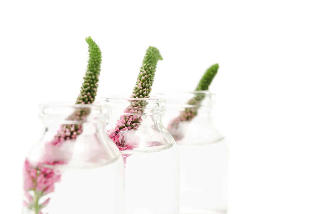 白で分離されたベロニカの花とガラス瓶の選択的な焦点 ロイヤリティフリー写真 画像素材