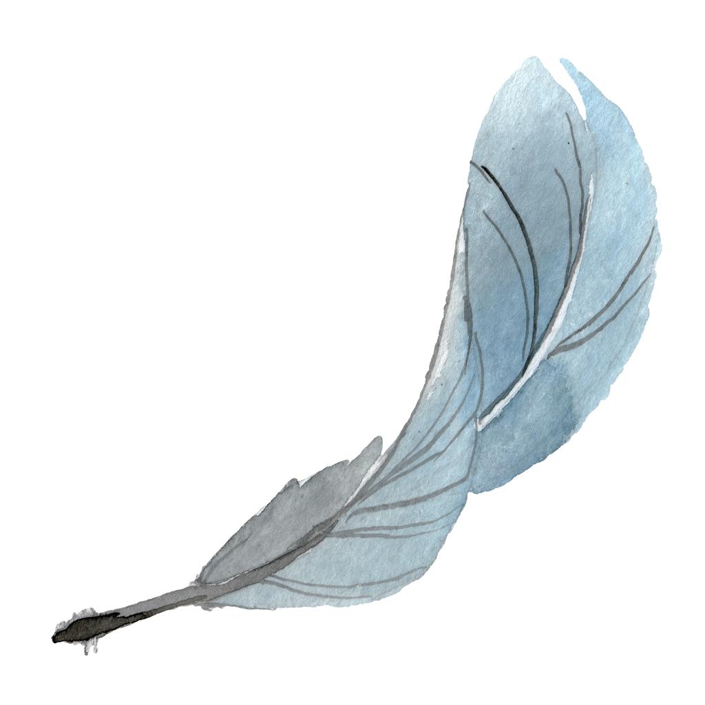 分離された翼から鳥の羽 水彩画背景イラスト セット 水彩描画のファッション Aquarelle 分離します 孤立した羽の図要素 ロイヤリティフリー写真 画像素材