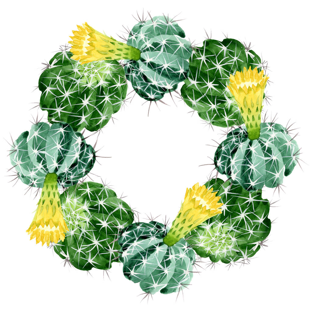 緑のサボテンの花の植物の花 野生の春の葉の野生の花 水彩背景イラストセット 水彩画ファッションアクアレル フレームボーダーオーナメント正方形 ロイヤリティフリー写真 画像素材