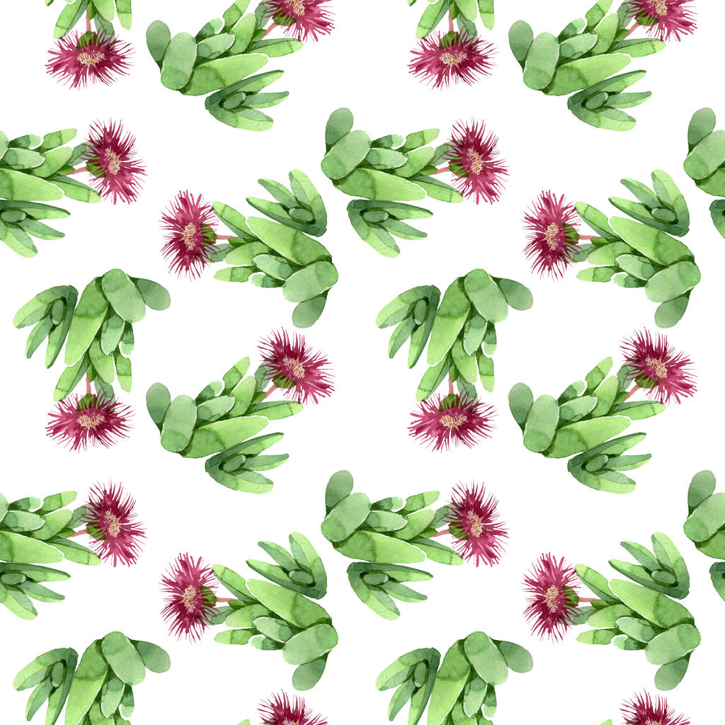 緑のサボテンの花の植物の花 野生の春の葉の野生の花 水彩イラストセット 水彩画ファッションアクアレル シームレスな背景パターン ファブリック壁紙プリントテクスチャ ロイヤリティフリー写真 画像素材