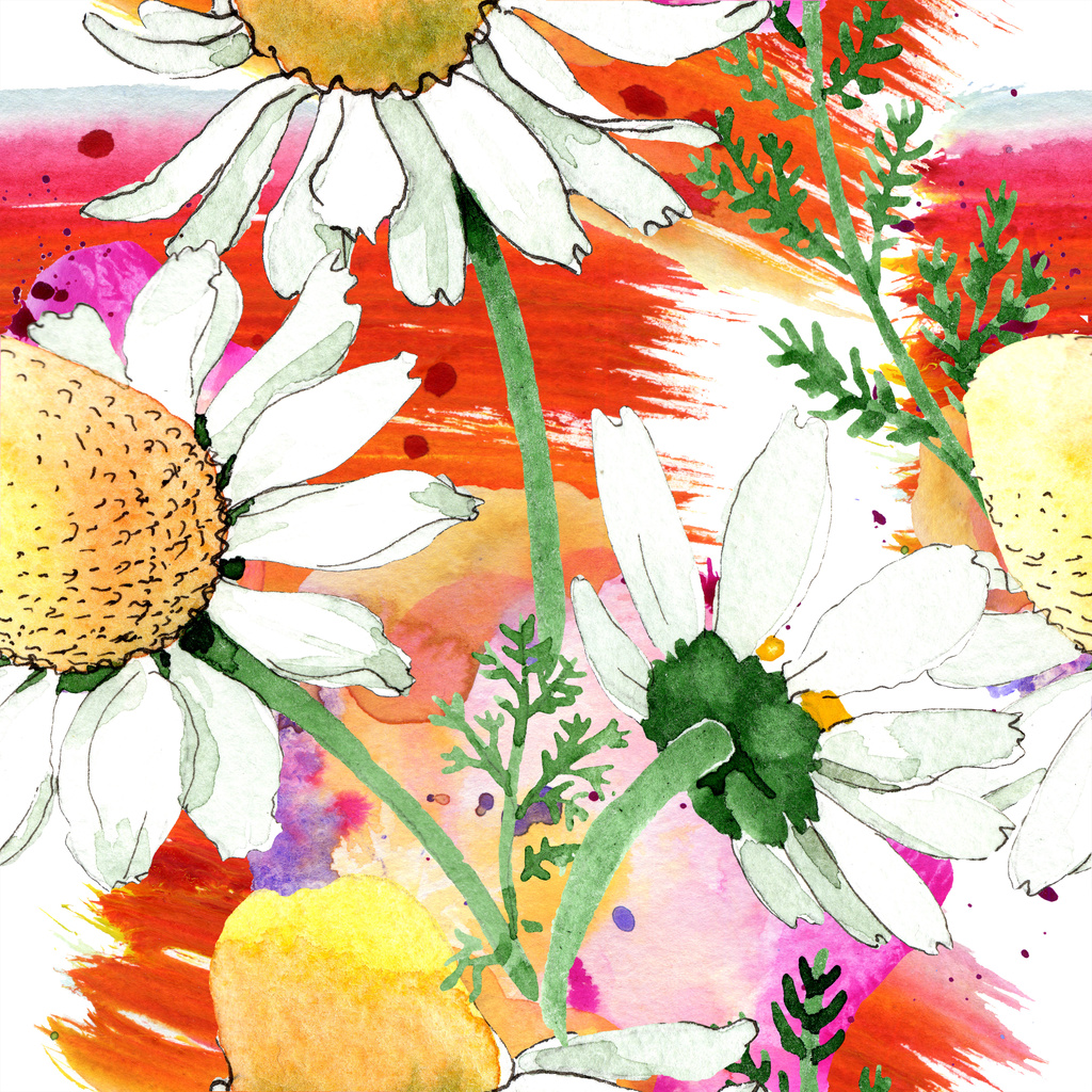 カモミール花植物の花 野生の春の葉が孤立した 水彩イラストセット 水彩画ファッションアクアレル シームレスな背景パターン ファブリック壁紙プリントテクスチャ ロイヤリティフリー写真 画像素材