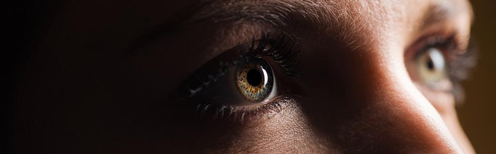 a látás vizsgálata és kezelése vitaminok a látáshoz 50 után