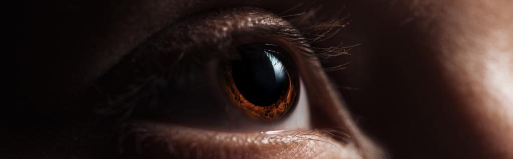 szemészeti glaukóma megelőzés megfigyelése a látás kezelése asztigmatizmus esetén