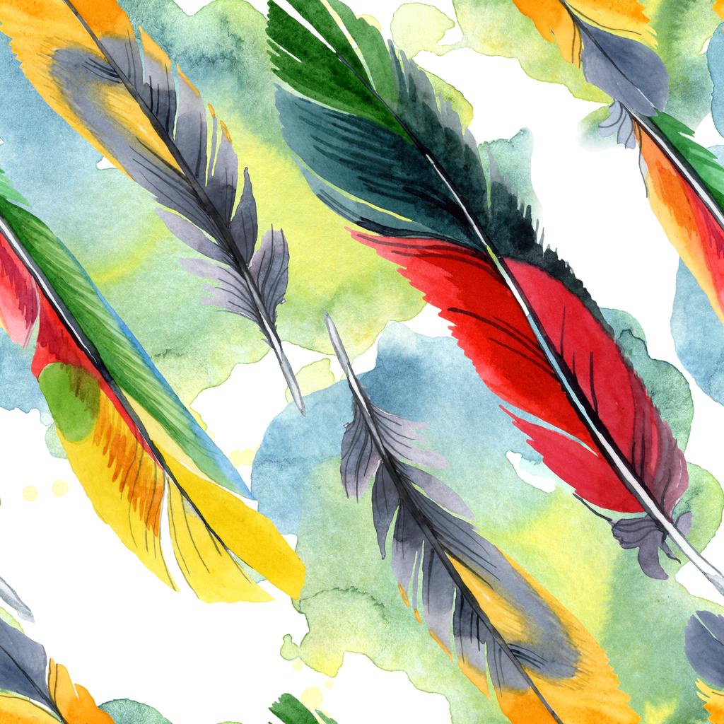 分離された翼からカラフルな鳥の羽 水彩画背景イラスト セット 水彩描画のファッション Aquarelle 分離します シームレスな背景パターン 壁紙印刷手触りの生地 ロイヤリティフリー写真 画像素材