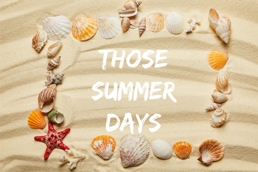 砂浜のそれらの夏の日のイラスト 貝殻 ヒトデやサンゴとフレームのトップビュー ロイヤリティフリー写真 画像素材