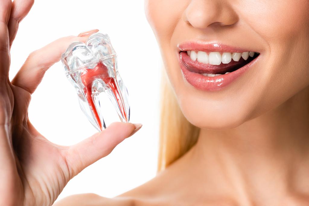 白い歯のモデルを持つ白い歯を持つ女性のトリミングされたビュー ロイヤリティフリー写真 画像素材