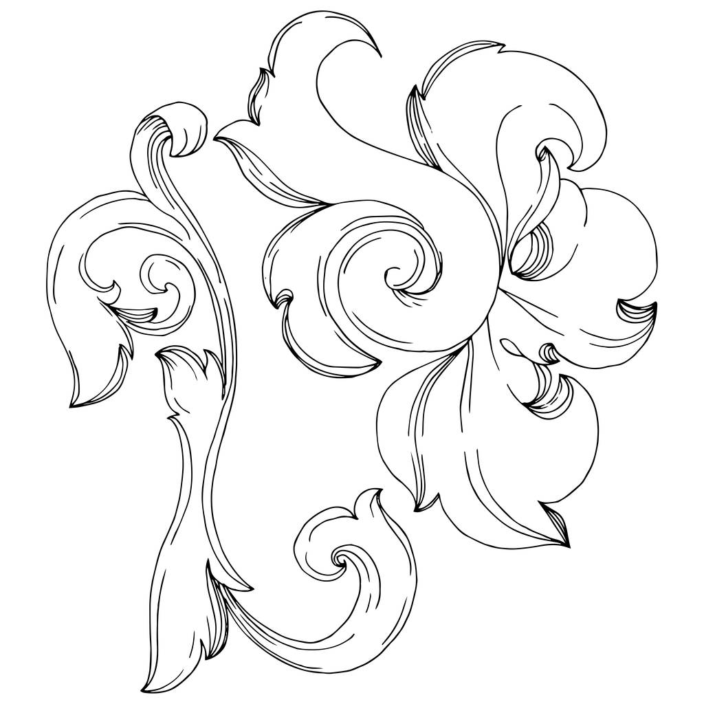 Vector Baroque monogram floral ornament. Baroque design isolated elements. Black and white engraved ink art. Isolated ornaments illustration element on white background.