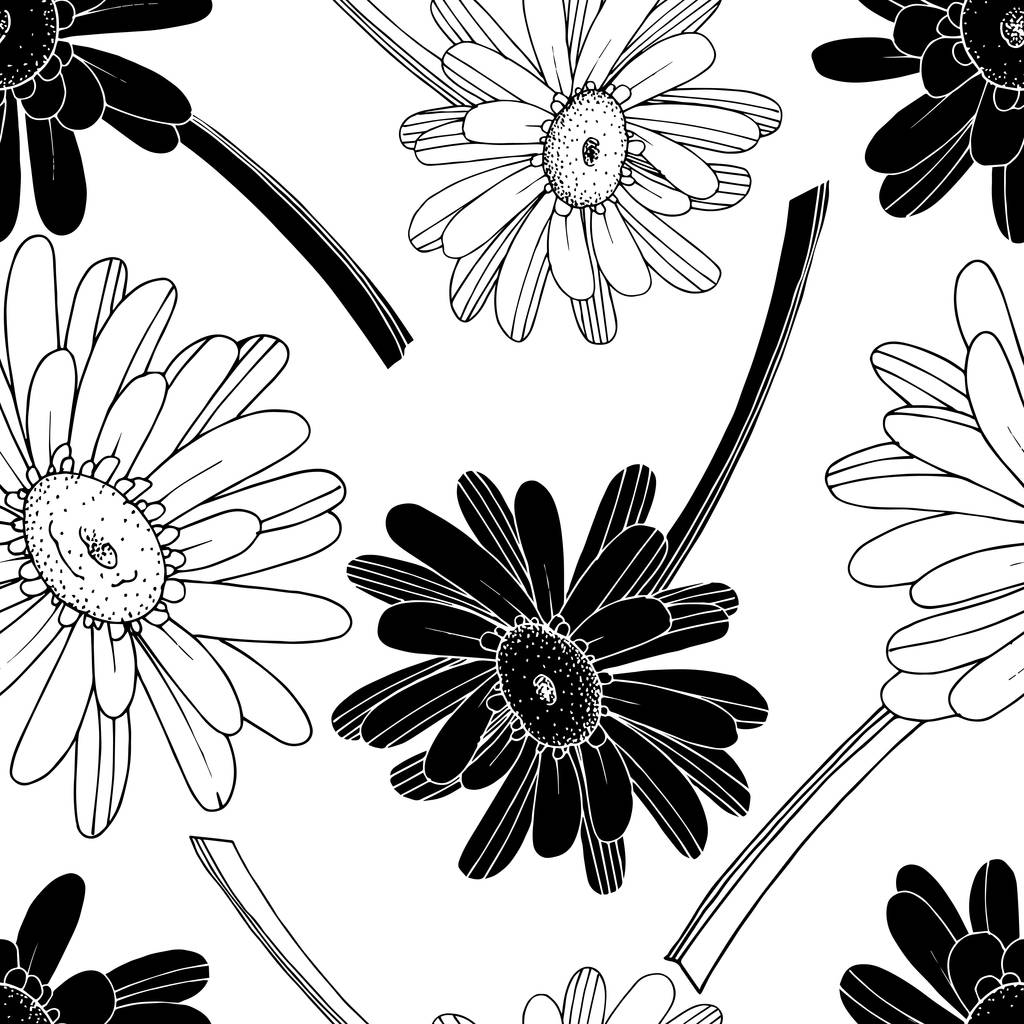 Vector Gerbera floral botanical flower. Wild spring leaf wildflower isolated. Black and white engraved ink art. Seamless background pattern. Fabric wallpaper print texture.