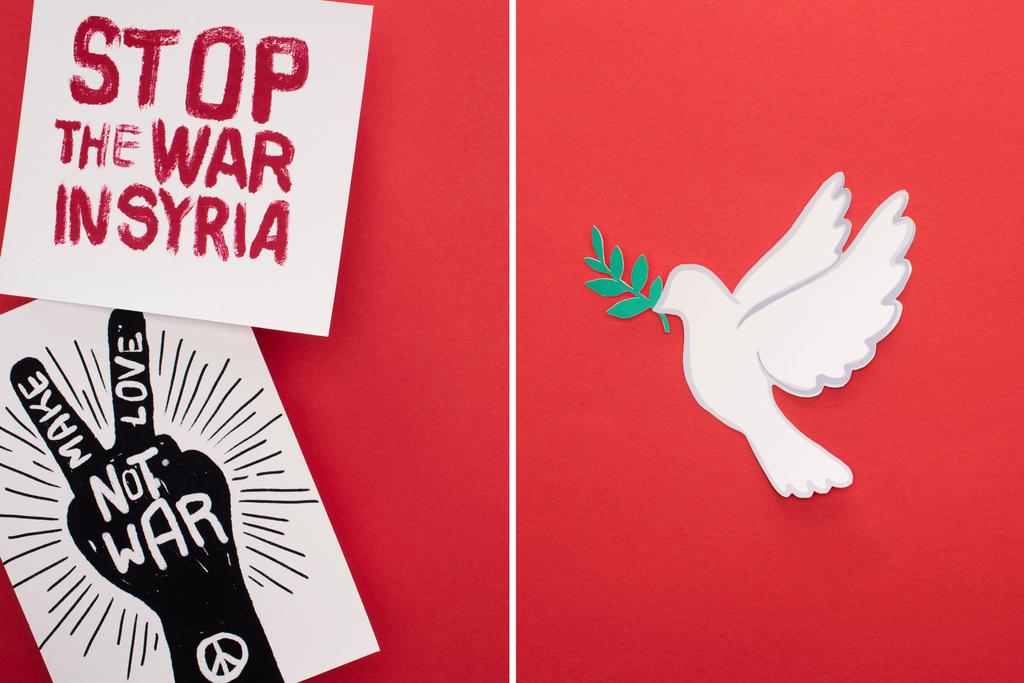 平和の象徴としての白い鳩のコラージュシリアでの戦争を停止し 愛は赤の背景に戦争のレタリングをしないようにプラカード ロイヤリティフリー写真 画像素材