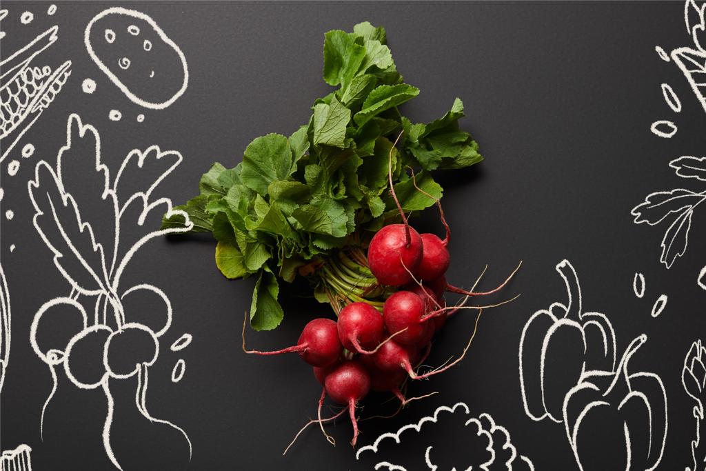 野菜のイラストで黒を背景に緑の葉を持つ生の栄養価の高い大根のトップビュー ロイヤリティフリー写真 画像素材