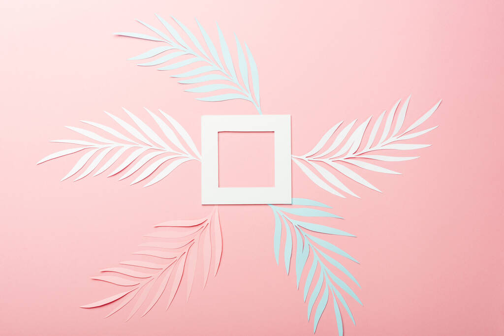 白 ピンク 青の紙の上から見たヤシの葉とピンクの背景の正方形の枠 ロイヤリティフリー写真 画像素材