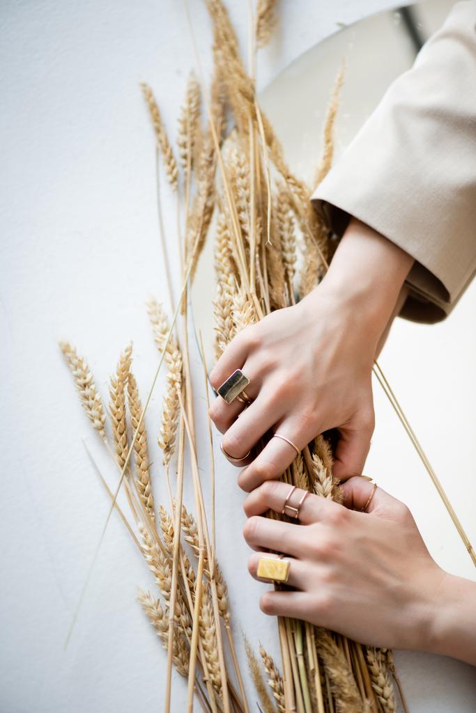 白い小麦の束を持つ指に黄金のリングを持つ女性の手のクロップドビュー ロイヤリティフリー写真 画像素材