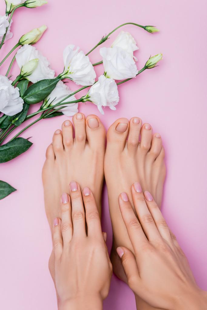 ピンクの背景に白絵花の近くにパステルカラーのネイルポリッシュで女性の手や足のトップビュー ロイヤリティフリー写真 画像素材
