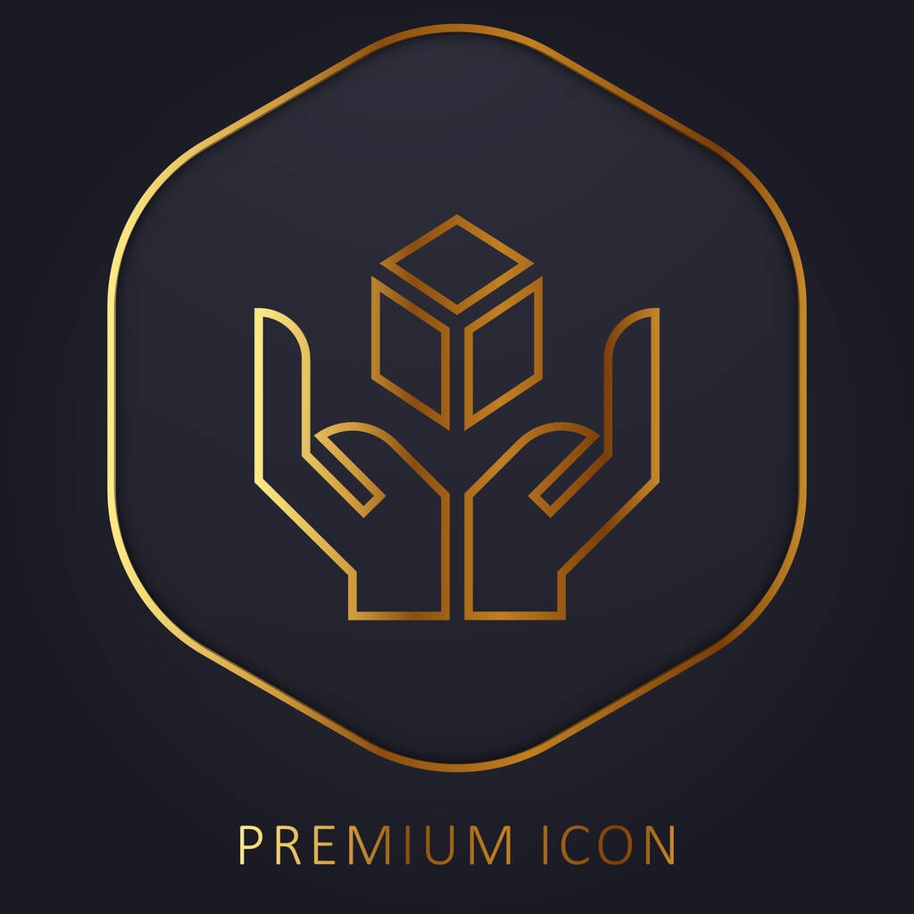 Box golden line premium logo or icon