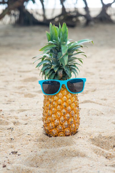 砂の上に青い Sunglassses 立ってのパイナップル ロイヤリティフリー写真 画像素材