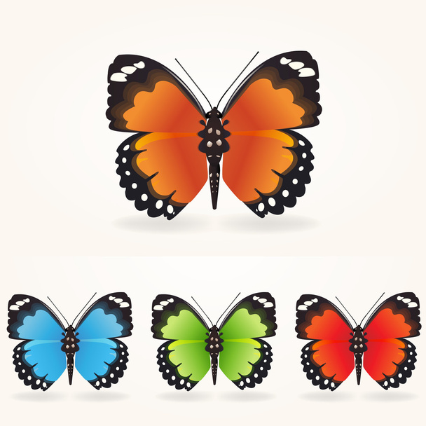 黒と白のベクトル イラスト ベクター蝶 ロイヤリティフリーのベクターグラフィック画像