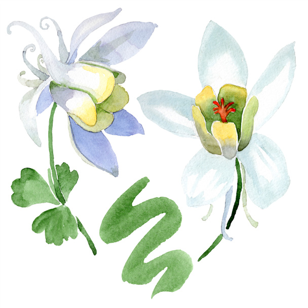 美しい青蓮の花は 白で隔離 水彩画背景イラスト 水彩ファッション Aquarelle 孤立したロータスの図要素を描画 ロイヤリティフリー写真 画像素材