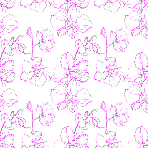美しいピンクの蘭の花 シームレスな背景パターン 壁紙印刷手触りの生地 刻まれたインク アート ロイヤリティフリーのベクターグラフィック画像