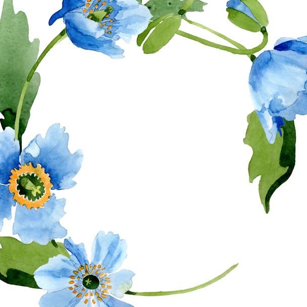 ケシの花 葉 芽を青し 白で隔離コピー スペース フレームをラウンドします 水彩イラスト セット ロイヤリティフリー写真 画像素材