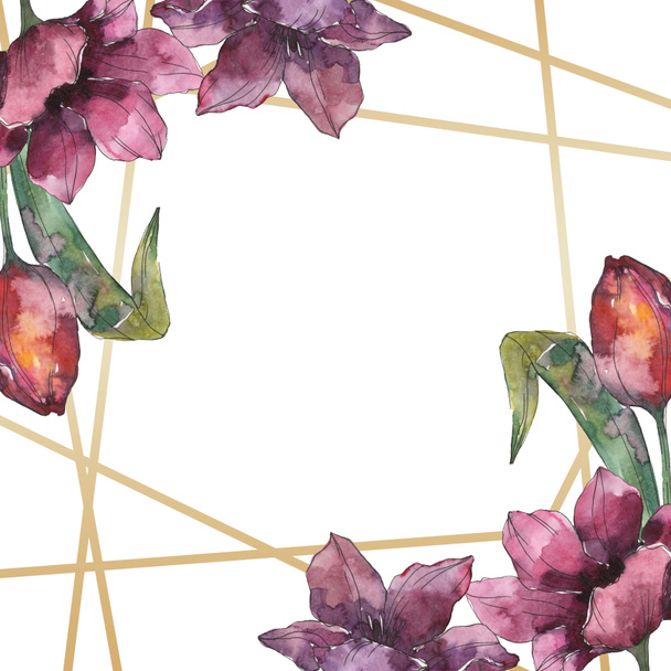 紫チューリップ花植物の花 野生春葉のワイルドフラワーが分離されました 水彩画背景イラスト セット 水彩描画のファッション Aquarelle 分離します フレーム枠飾りスクエア ロイヤリティフリー写真 画像素材