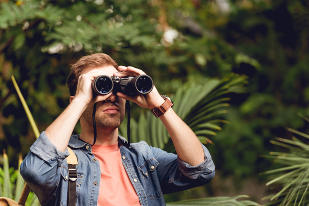 Adult traveler looking through binoculars in tropical green forest Free  Stock Photo and Image
