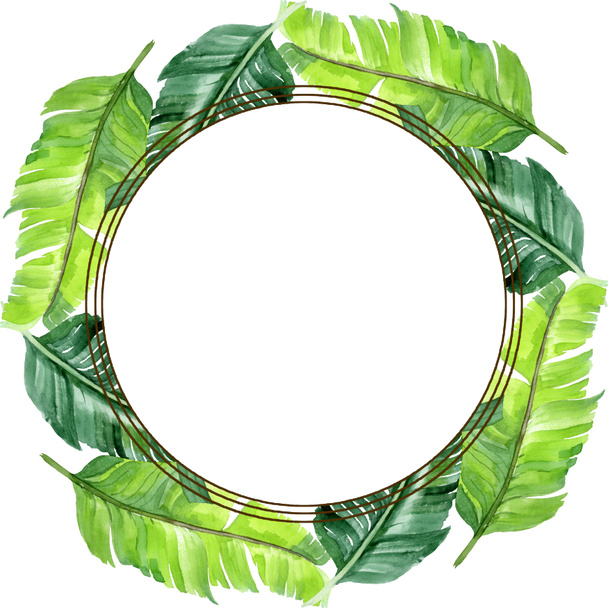 エキゾチックな熱帯ハワイのヤシの木は白に孤立した葉 水彩背景イラストセット コピースペース付きフレームオーナメント ロイヤリティフリー写真 画像素材